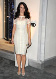 th_21898_KristinDavis_tom_ford_store_opening_032_122_225lo.jpg