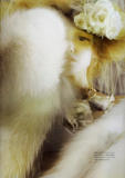 th_26101_masha8_122_833lo.jpg